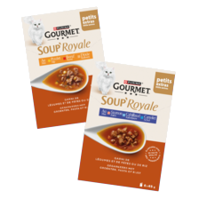 Gourmet Soup Royale